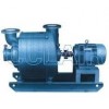 TLZ-9*5，TLZ-9*6，TLZ-15，TLZ-15*7，TLZ-18，離心抽濕真空泵
